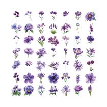 Adesivos Impermeáveis Com Acabamento Fosco De Flores Roxas 50pcs Para Laptops E Capas De Telefone