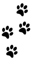 Adesivos Kit 60 Pegadas Cachorro Pet Shop - Comercial Luvi