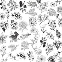 Adesivos Minimalist Line Art, 50 unidades, vinil impermeável