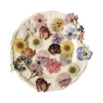 Adesivos PET De Plantas Rosas 40 Peças Flores Folhas Decoração Para Scrapbook Etiqueta Diário Adesivos PET De Plantas Rosas 40 Peças Flores Folhas Decoração Para Scrapbook Etiqueta Diário