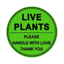 Adesivos Remarkable Live Plants de 3 polegadas manuseiam com cuidado