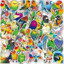 Adesivos Talking Parrot Colorful Bird, vinil impermeável, 50 unidades