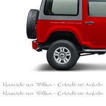 Adesivos Troller Nascido Na Trilha 2005 Emblema Lateral Par