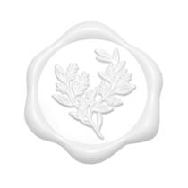 Adesivos Yoption Wax Seal, pacote com 50, eucalipto branco, 3 cm Adesivos Yoption Wax Seal, pacote com 50, eucalipto branco, 3 cm