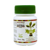 Adoçante Natural Stevia 20g - Color Andina