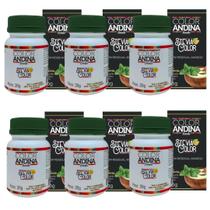 Adoçante Stévia 20g Color Andina 100% Natural 6 Potes Adoçante Stévia 20g Color Andina 100% Natural 6 Potes