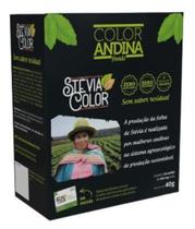 Adoçante Stévia 800mg Color Andina 50 Sachês