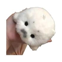 Adorável Brinquedo De Pelúcia De Foca Bebê, Pingente De Animal Marinho Macio, Chaveiro, Presente, Adorável Brinquedo De Pelúcia De Foca Bebê, Pingente De Animal Marinho Macio, Chaveiro, Presente,