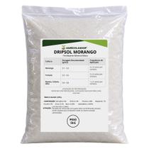 Adubo Dripsol Morango 5kg SQM Vitas - Para Hidroponia e Fertirrigação Adubo Dripsol Morango 5kg SQM Vitas - Para Hidroponia e Fertirrigação