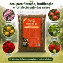 Adubo FORTYS Flores Floração NPK 041408 1kg Fertilizante para Rosas, Flores Ornamentais, Jardineiras, Vasos e Jardim Adubo FORTYS Flores Floração NPK 041408 1kg Fertilizante para Rosas, Flores Ornamentais, Jardineiras, Vasos e Jardim