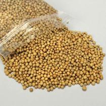 Adubo Osmocote 400 grs- Liberação Lenta