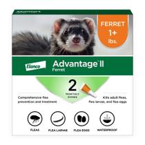 Advantage II para Ferrets - Tratamento e Prevenção de Pulgas (0,5+ kg) Advantage II para Ferrets - Tratamento e Prevenção de Pulgas (0,5+ kg)