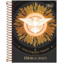 Agenda Espiral Bíblica Diária Católica 2025 Tilibra 12x18cm