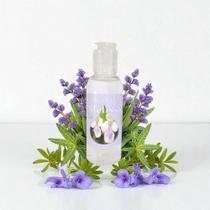 Água de Melissa na Umbanda e Candomblé Purificação Proteção Equilíbrio Espiritual Água de Melissa na Umbanda e Candomblé Purificação Proteção Equilíbrio Espiritual