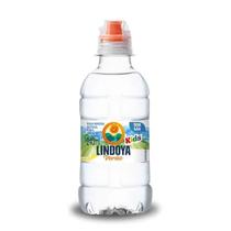 Água Kids Lindoya Verão 240ml