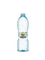 Água Lindoya 500ML sem gás
