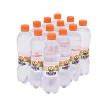 Água mineral C/gás Lindoya Verao 510ml fardo com 12 unidades