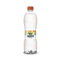 Agua Mineral Lindoya 500ml C/GAS