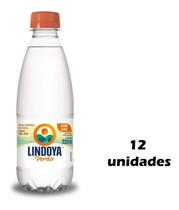 Água Mineral Lindoya C Gás 300ml Kit 12