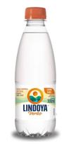 Água Mineral Lindoya C Gás 300ml