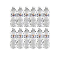 Água mineral Lindoya Verao 510ml fardo com 12 unid Sem/gás Água mineral Lindoya Verao 510ml fardo com 12 unid Sem/gás