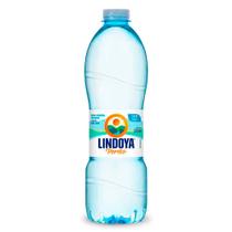 Água Mineral Lindoya Verão 510ml