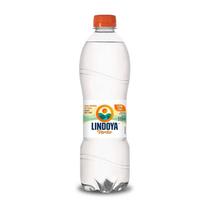 Água Mineral Lindoya Verão Com Gás 510ml