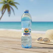 Água Mineral Lindoya Verão S/g - 510ML