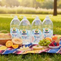 Água Mineral Lindoya Verão S/g - Kit 4 Galões 5 Litros