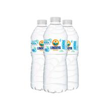 Agua Mineral Lindoya Verao Sem Gas 510 ML Fardo com 12 und