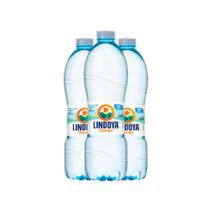 Agua Mineral Lindoya Verao Sem Gas 510 ML Fardo com 12 und