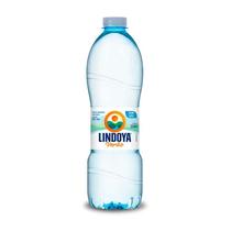 Água Mineral Lindoya Verão Sem Gás 510ml