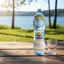 Água Mineral Lindoya Verão Sem Gás - Pack 12X1.5L