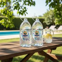 Água Mineral Lindoya Verão Sem Gás Sense - Kit com 2 Galões com 5 Litros