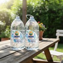 Água Mineral Lindoya Verão Sense S/g - 5 L