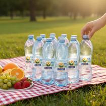 Água Mineral Natural Lindoya Verão Sem Gás Kit 12x510ml