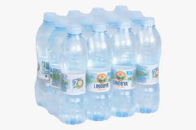 Água Mineral Natural Sem Gás Lindoya Verão Fardo C/12 510ml Água Mineral Natural Sem Gás Lindoya Verão Fardo C/12 510ml