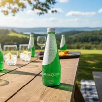 Água Mineral Naturalmente Gasosa de Cambuquira Kit com 12 unid x 300Ml