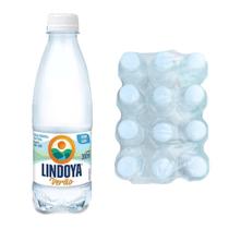 Água Mineral Sem Gás 300ml com 12 Lindoya