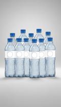 Água Mineral Sem Gás Garrafa 500ml - Kit 12 Unidades