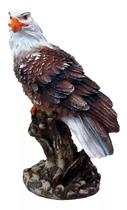 Águia Espanta Pombo No Tronco Ave Rapina Americana Em Resina Decorativo