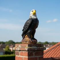 Águia Espanta Pombo Pintura Envernizada Resistente Sol E Chuva