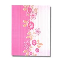 Album 100 fotos 15x21 com miolo paint - rec 100/03