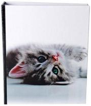 Álbum 240 Fotos 10X15 Com Memo Eco Rec 105/01