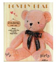 Álbum 80 Fotos 10x15 Lovely Bear
