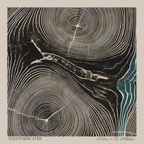 Álbum ATLANTIC RECORDS Rivers in the Wasteland