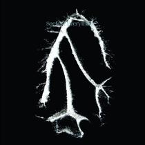 Álbum Everything Squared da Warp Records Álbum Everything Squared da Warp Records