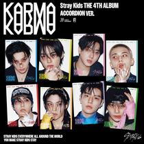 Álbum Interscope KARMA Versão Acordeão Nova