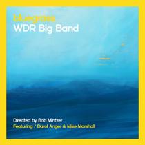 Álbum WDR Big Band Bluegrass por Bob Mintzer