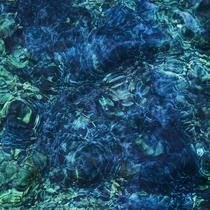 Álbum Zach Top Luminescent Creatures Novo Álbum Zach Top Luminescent Creatures Novo